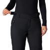 Columbia womens Shafer Canyon Ii Insulated Pant(Black)