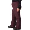Columbia womens Shafer Canyon Ii Insulated Pant(Moonvista)