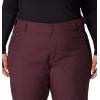 Columbia womens Shafer Canyon Ii Insulated Pant(Moonvista)