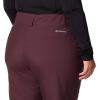 Columbia womens Shafer Canyon Ii Insulated Pant(Moonvista)