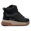 Columbia womens Burnsider Waterproof(Black/Wet Sand)
