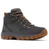 Columbia Men’s Newton Ridge Plus II Suede Waterproof Hiking Boot(Dark Grey/Gold Amber)