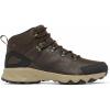 Cordovan/Black