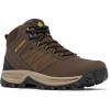 Cordovan/Golden Yellow