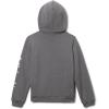 Columbia Unisex-Child Trek Hoodie(City Grey Heather)