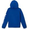 Columbia Unisex-Child Trek Hoodie(Mountain Blue)