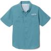 Tranquil Teal