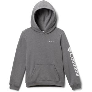Columbia Unisex-Child Trek Hoodie(City Grey Heather)