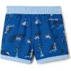 Columbia Boys Sandy Shores Printed Boardshort(Mountain Blue Trail Tails/Ripple Blue)