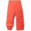 Columbia boys Bugaboo Iii Pant(Zing)