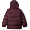 Columbia boys Puffect Hooded Jacket(Moonvista)