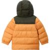 Columbia boys Puffect Hooded Jacket(Sunstone/Greenscape)