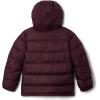 Columbia unisex-child Pike Lake Ii Hooded Jacket(Moonvista)