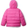 Columbia unisex-child Pike Lake Ii Hooded Jacket(Pink Ice)