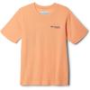 Columbia Baby-Boys PFG Short Sleeve Graphic Tee(Bright Nectar/Tarpon Rise)