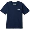 Collegiate Navy/Pfg Triangle Graphic
