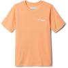Columbia Boys PFG Short Sleeve Seasonal Graphic Tee(Bright Nectar/Stack Em Inshore)