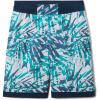 Bright Aqua Dye Palms Tonal/Dk Mountain