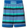 Bright Indigo Milo Stripe