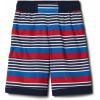 Collegiate Navy Milo Stripe