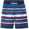 Collegiate Navy Texture Stripe