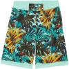 Mint Cay Toucanical Multi