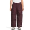 Columbia boys Bugaboo Iii Pant(Moonvista)