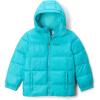 Columbia boys Puffect Hooded Jacket(Geyser)