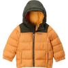 Columbia boys Puffect Hooded Jacket(Sunstone/Greenscape)
