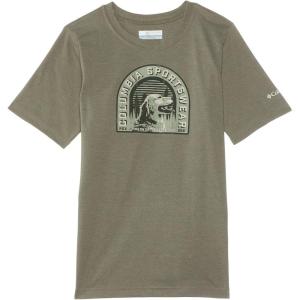 Columbia Boys La Poudre Pass Short Sleeve Tee(Stone Green/Furry Friend)
