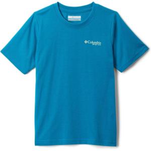 Columbia Boys PFG Short Sleeve Seasonal Graphic Tee(Blue Echo/High Side Simple Marlin)