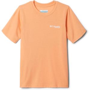 Columbia Boys PFG Short Sleeve Seasonal Graphic Tee(Bright Nectar/Stack Em Inshore)