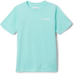 Columbia Boys PFG Short Sleeve Seasonal Graphic Tee(Gulf Stream/Flag Jumper Salt)