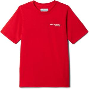 Columbia Boys PFG Short Sleeve Seasonal Graphic Tee(Red Spark/Flag Jumper Salt)