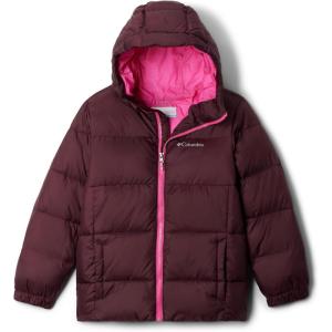 Columbia boys Puffect Hooded Jacket(Moonvista)
