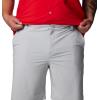 Columbia Mens PFG Grander Marlin Iii Offshore Short(Cool Grey)