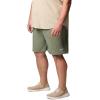 Columbia Mens Terminal Roamer Stretch Short(Cypress)
