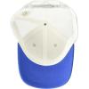 Columbia Unisex Kids PFG Fish Flag Snap Back(Cool Grey/Vivid Blue)