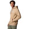 Columbia mens Pfg Castback Hoodie(Beach/Pfg Woven Patch Americana)