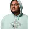 Columbia mens Pfg Diamond Fill Hoodie(Misty Jade/Diamond Fill)