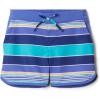 Dark Sapphire Danby Stripe/Purple Lotus