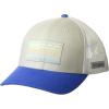 Cool Grey/Vivid Blue