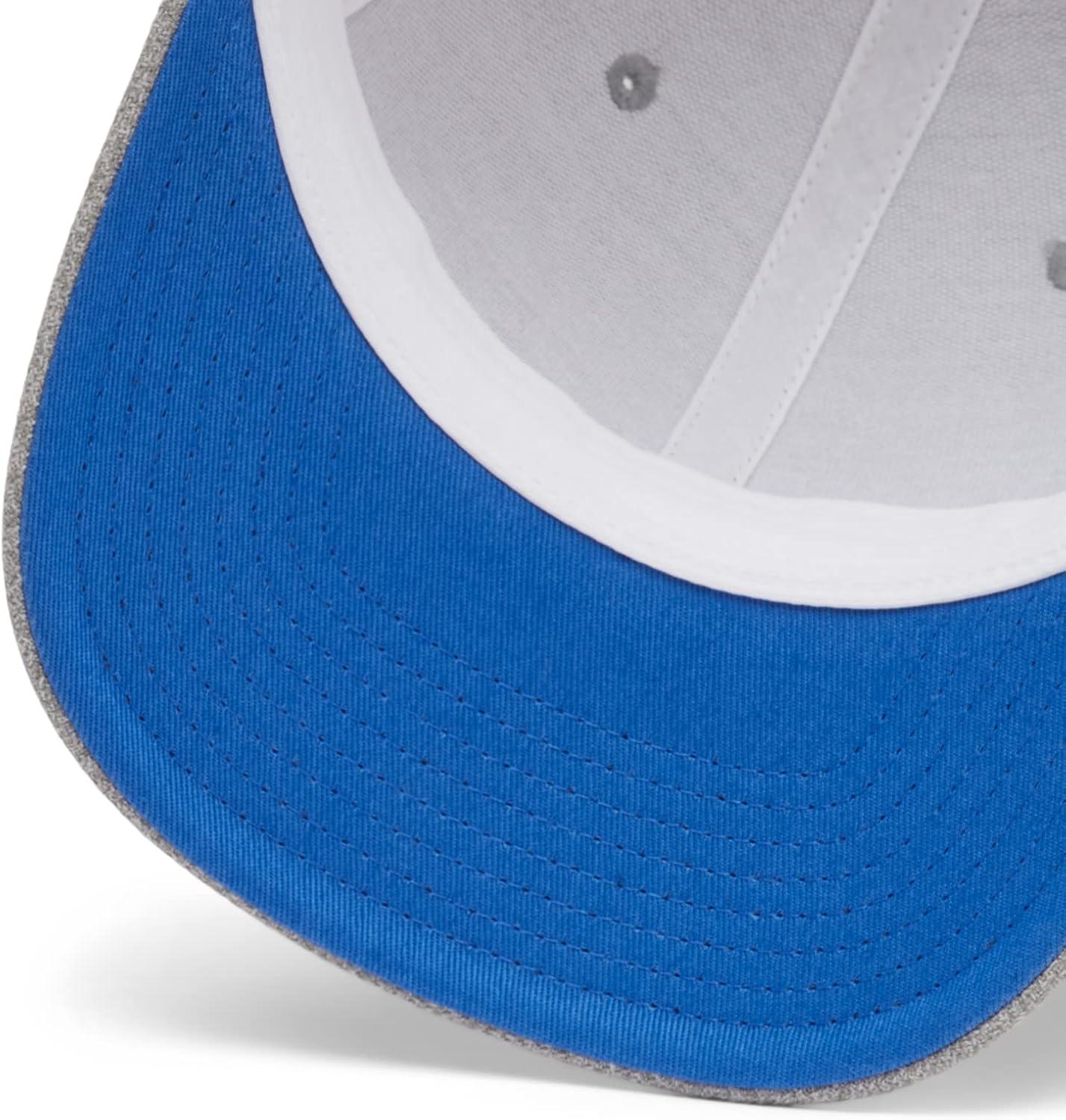 imageColumbia Unisex Adult PFG Logo Mesh Ball CapCool Grey HeatherVivid Blue
