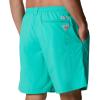 Columbia Men’s Backcast Iii Water Short(Electric Turquoise)