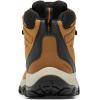 Columbia Men’s Newton Ridge Plus II Waterproof Hiking Boots(Elk/Black)