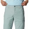 Columbia Men’s Pine Canyon Cargo Short(Niagara)