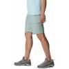 Columbia Men’s Pine Canyon Cargo Short(Niagara)
