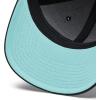 Columbia Unisex Adult PFG Logo Mesh Ball Cap(Black/Gulf Stream)