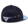 Columbia Unisex Adult PFG Logo Mesh Ball Cap(Coll Navy/Agate Blue/Mid Atlantic Flag)