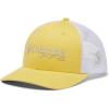 Columbia Unisex Adult PFG Logo Mesh Ball Cap(Sun Glow/Cool Grey/Marlin)